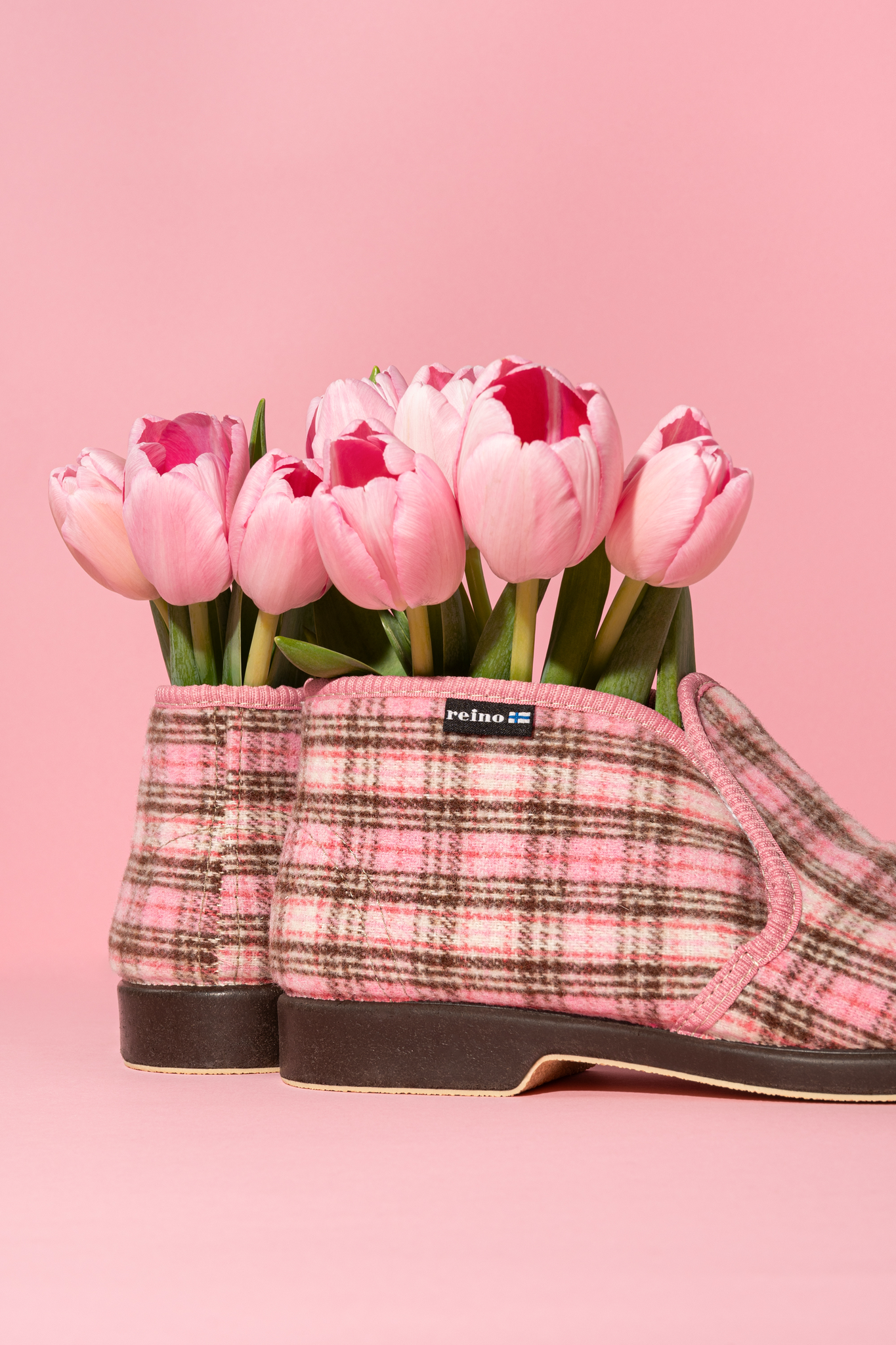 Reino tossut-Finlayson