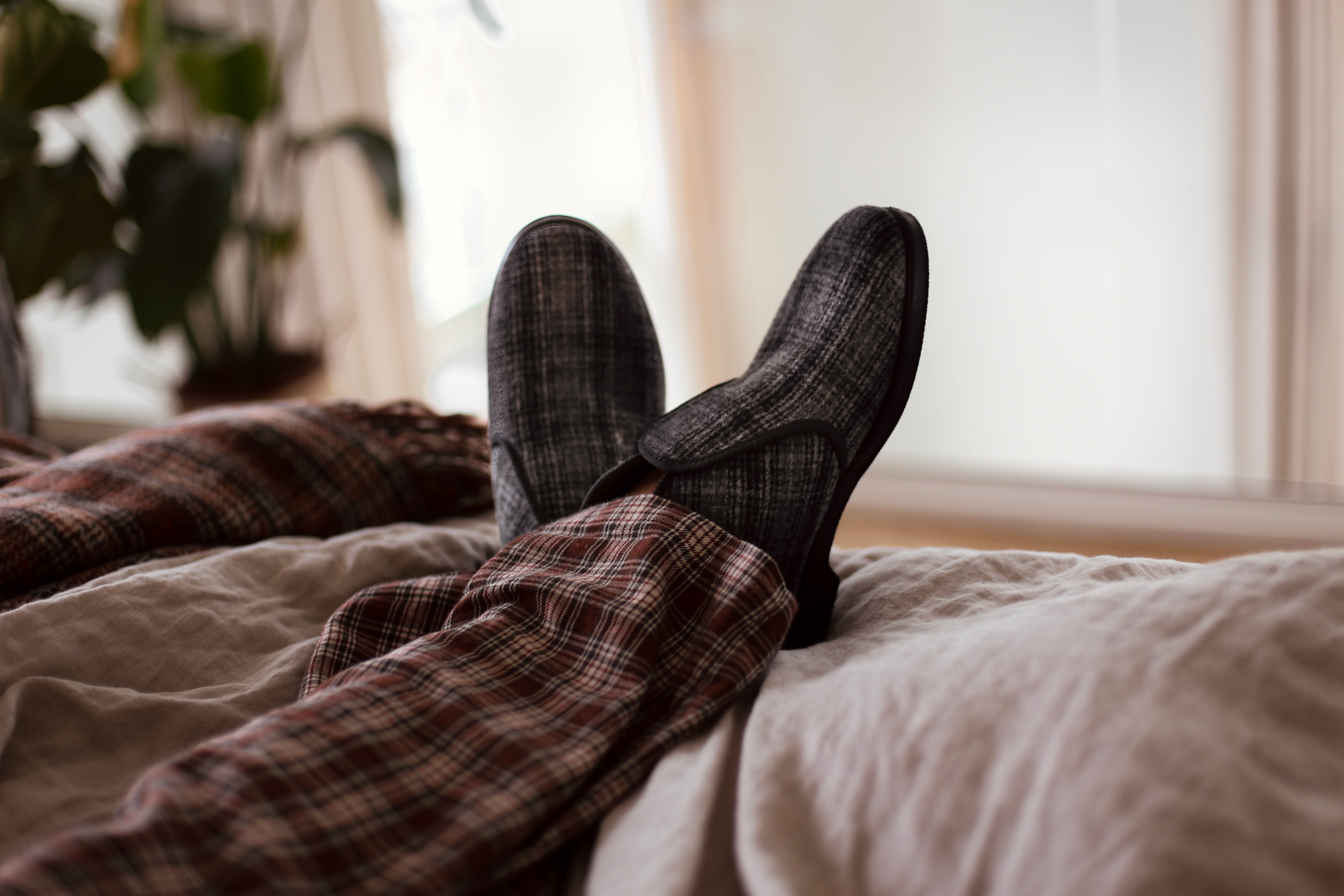 Reino tossut-Finlayson