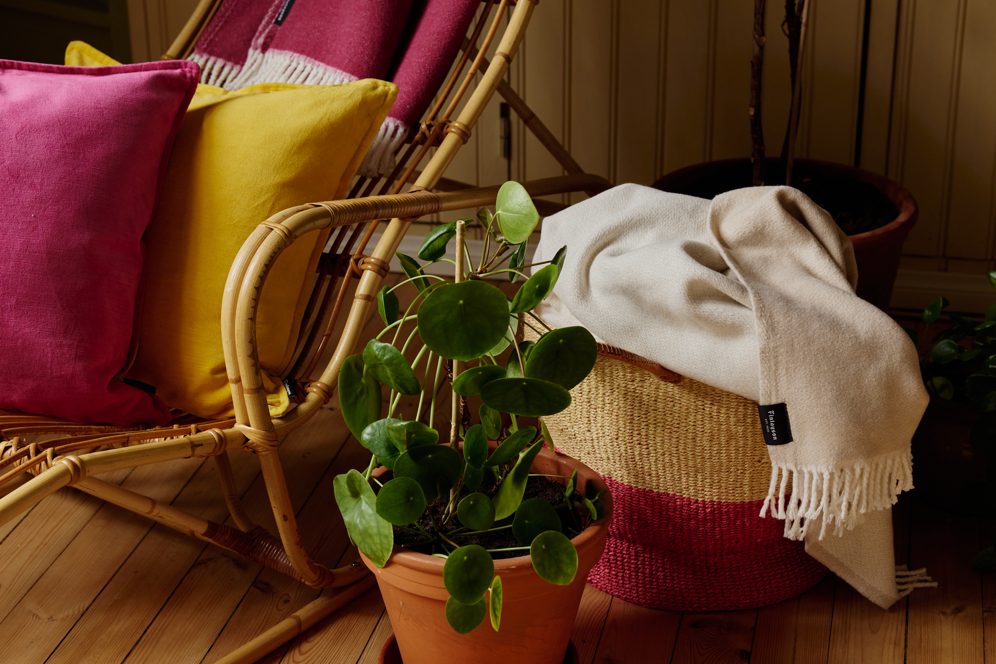 Sulo Torkkupeitto-Finlayson