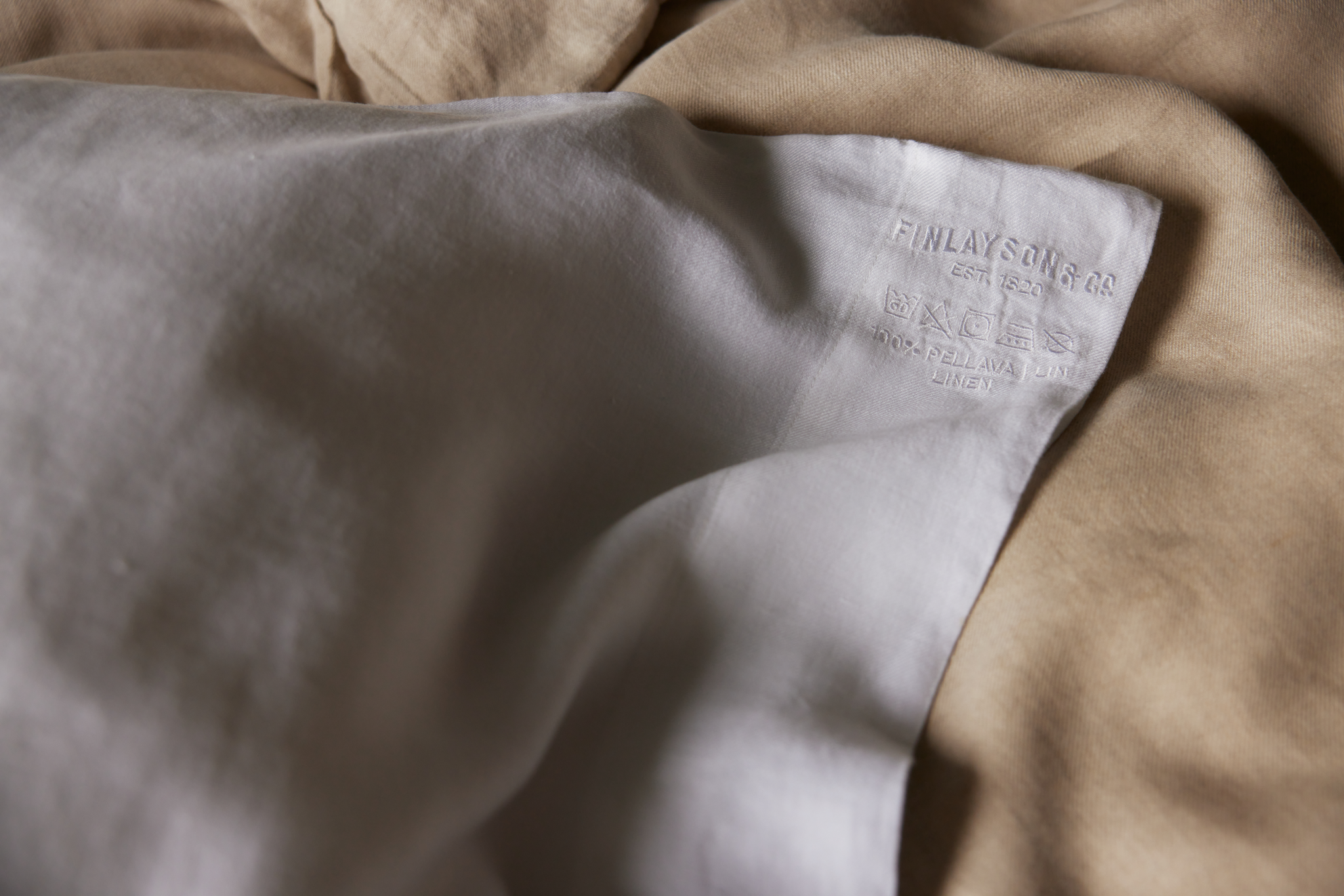 Jesus Pellavapussilakanasetti-Finlayson