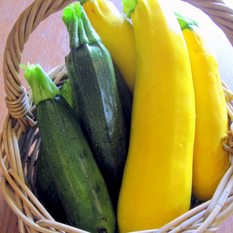 Black Beauty Zucchini Seeds – Summer Squash Variety