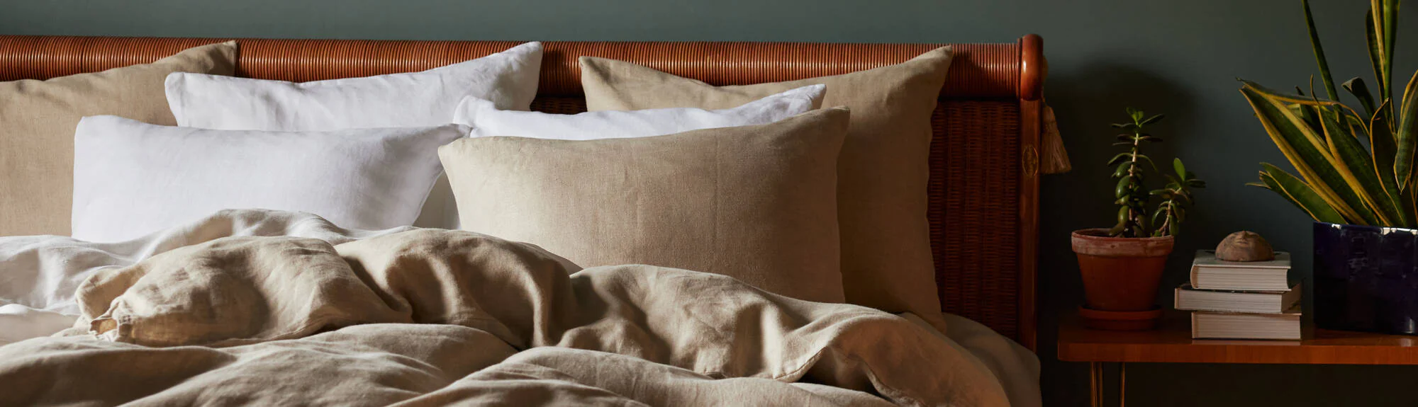 Jesus 50 vuoden takuulla