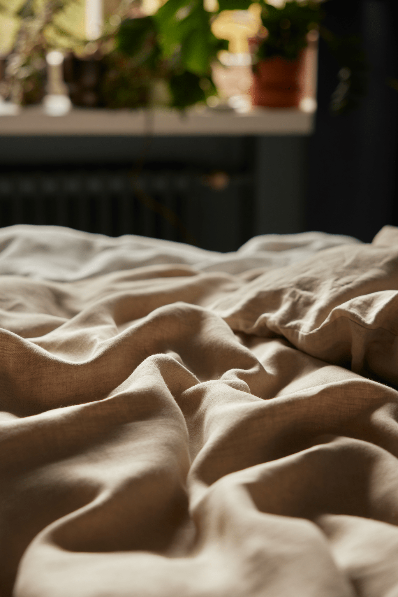 Jesus Pellavapussilakanasetti-Finlayson