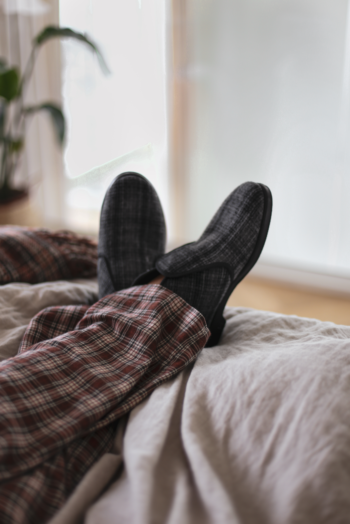 Reino tossut-Finlayson