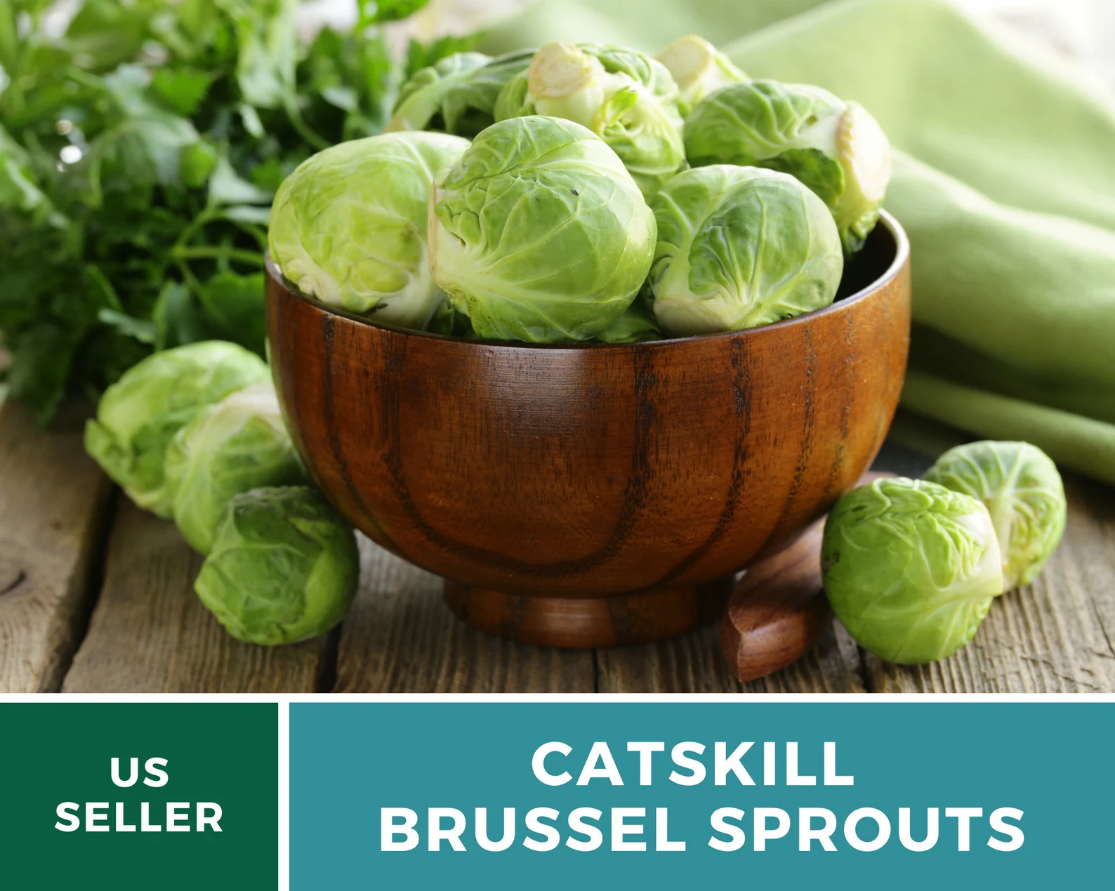  Catskill Brussels Sprouts Seeds – Heirloom, Open-Pollinated (250 Seeds) 