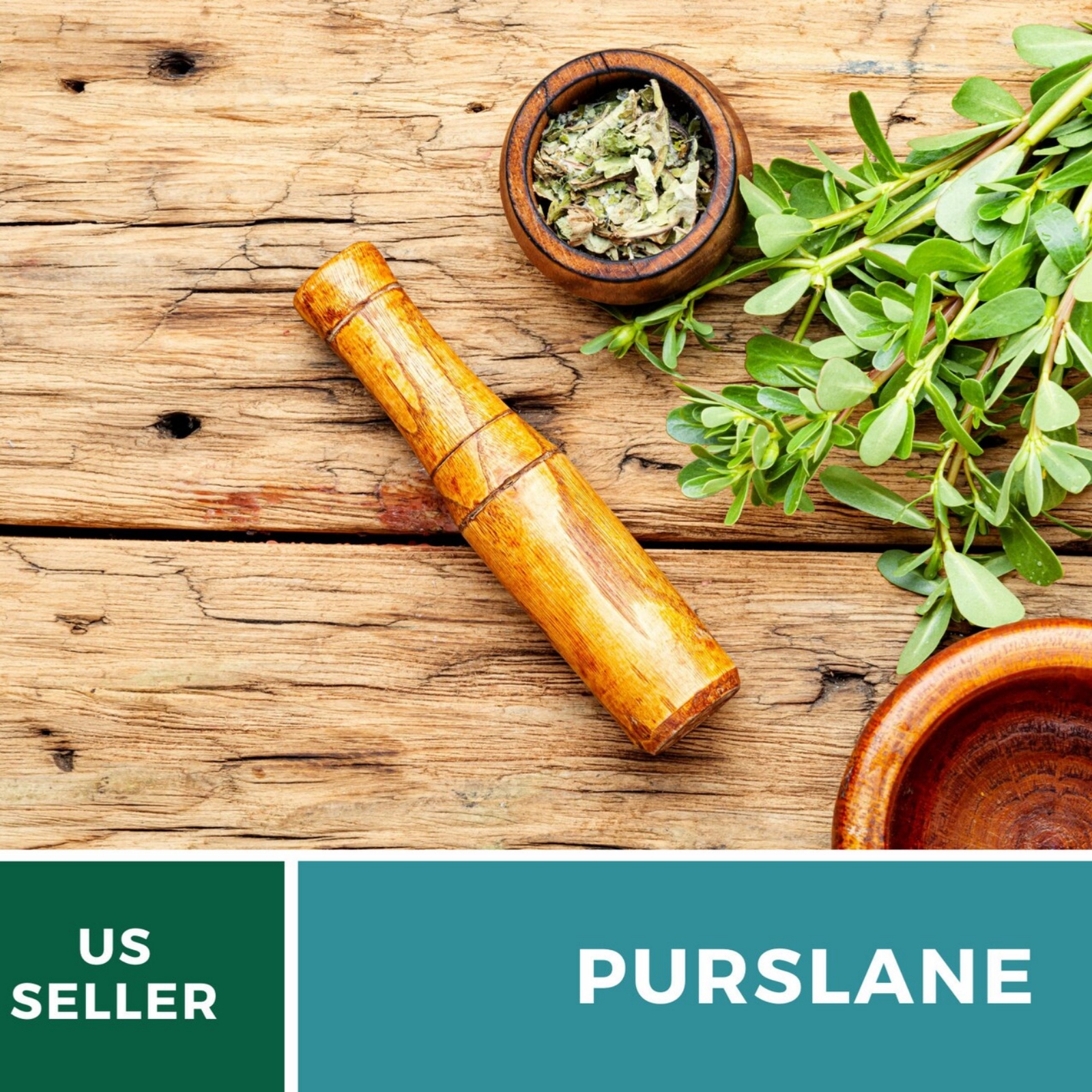  Purslane Seeds – Green Heirloom Leafy Green, Tangy and Nutritious, Culinary & Medicinal, Easy to Grow | 100 Seeds 