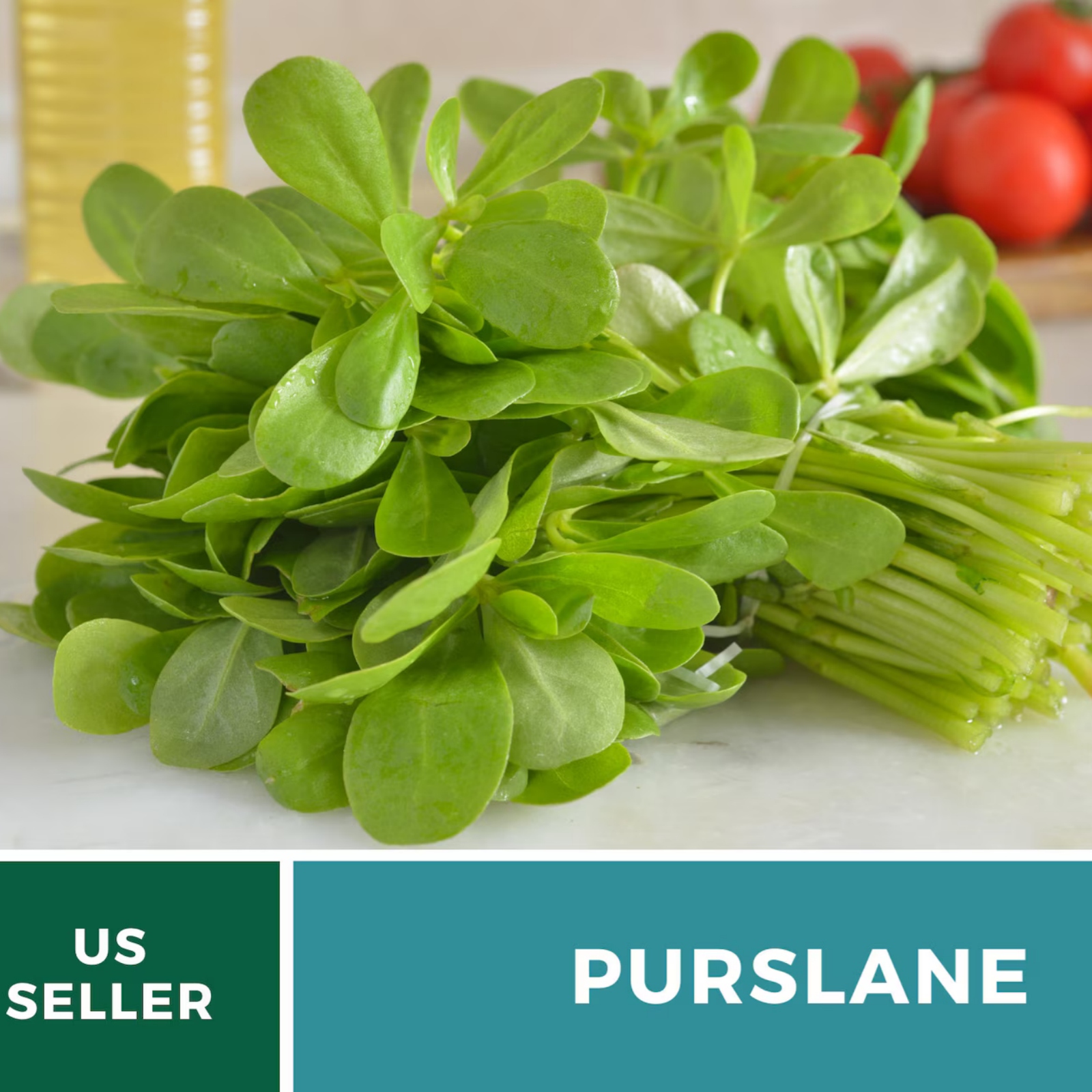  Purslane Seeds – Green Heirloom Leafy Green, Tangy and Nutritious, Culinary & Medicinal, Easy to Grow | 100 Seeds 