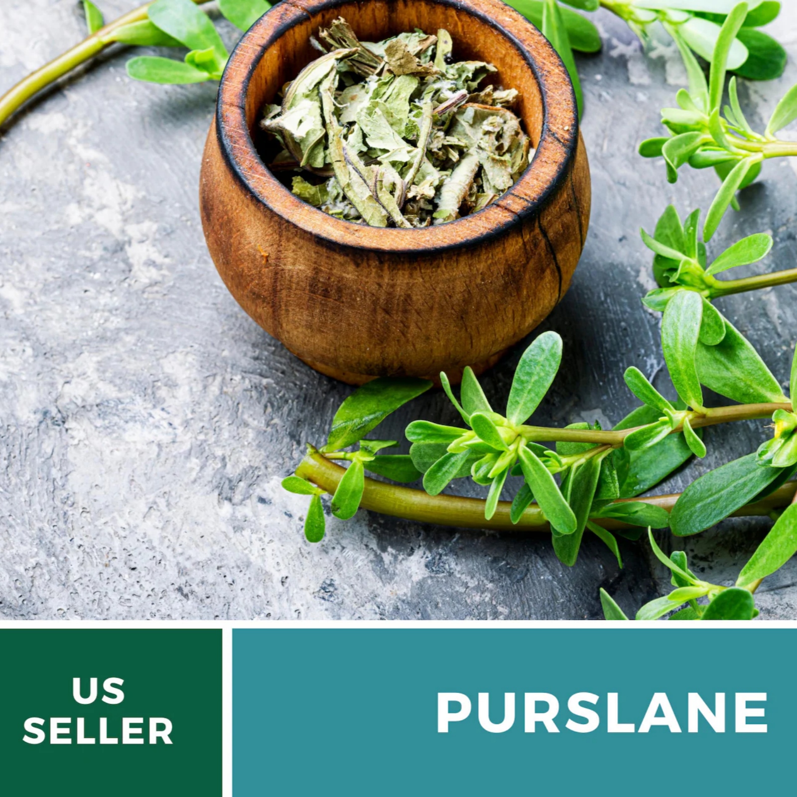  Purslane Seeds – Green Heirloom Leafy Green, Tangy and Nutritious, Culinary & Medicinal, Easy to Grow | 100 Seeds 