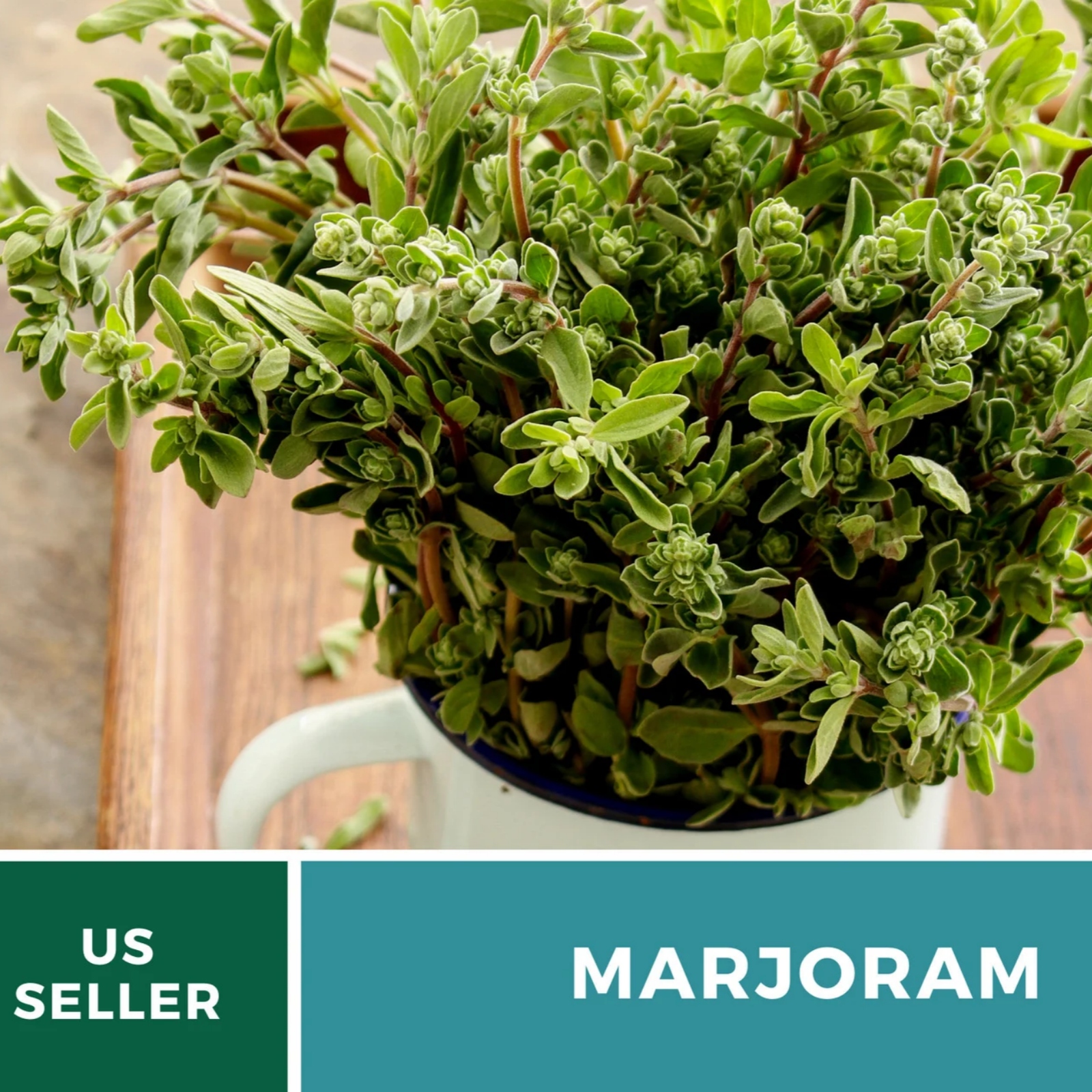  Sweet Marjoram Seeds – Heirloom Culinary & Medicinal Herb, Mediterranean Flavor, Non-GMO, Open Pollinated | 100 Seeds 