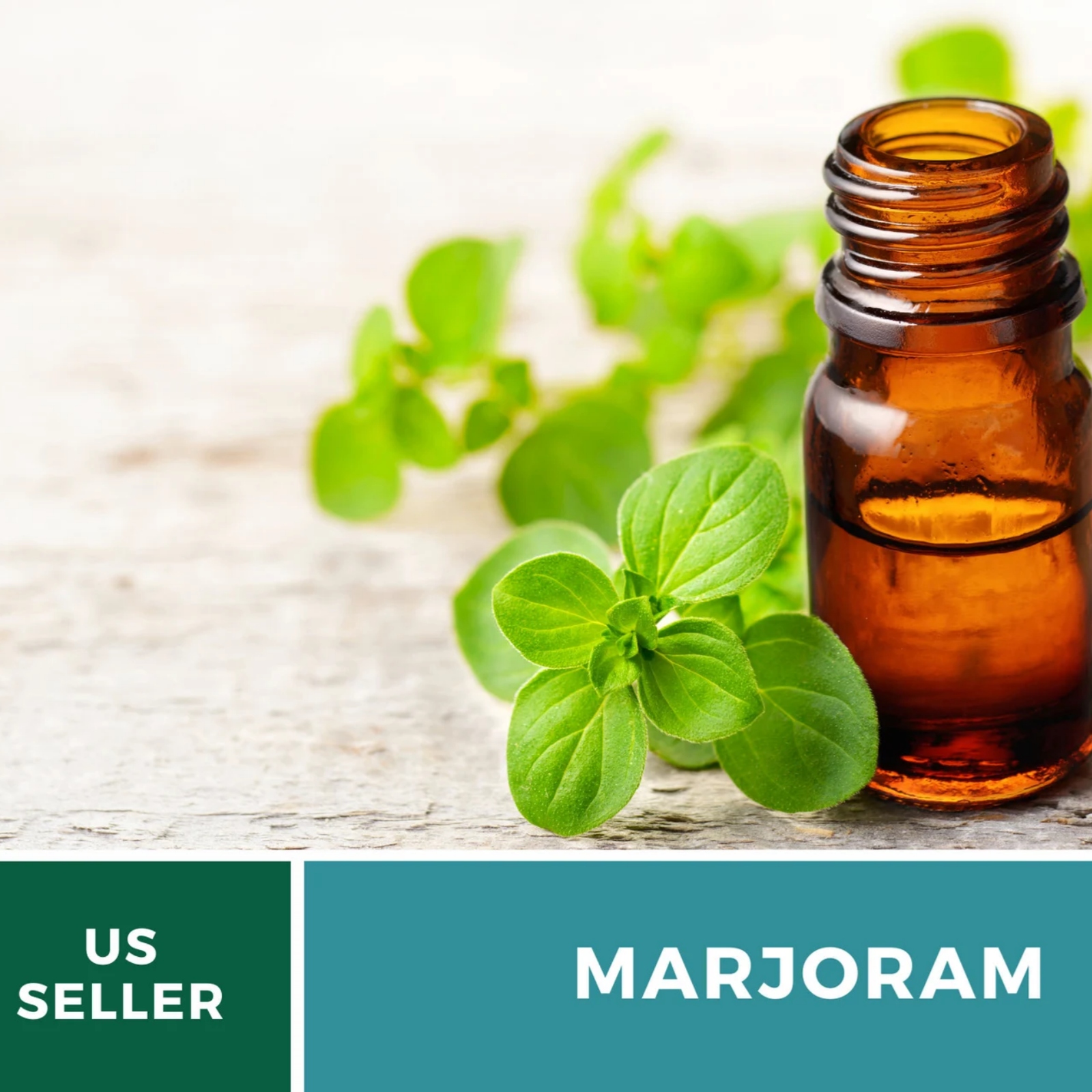  Sweet Marjoram Seeds – Heirloom Culinary & Medicinal Herb, Mediterranean Flavor, Non-GMO, Open Pollinated | 100 Seeds 