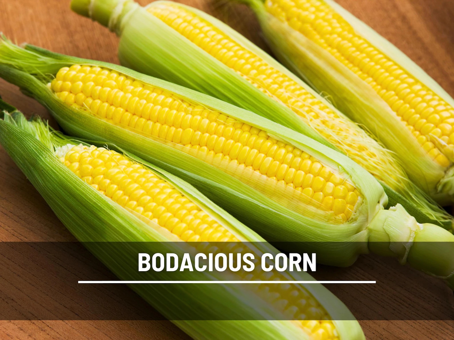  Bodacious Sweet Corn Seeds – Hybrid, Non-GMO, SE-ho Sweet Corn (30 Seeds) 