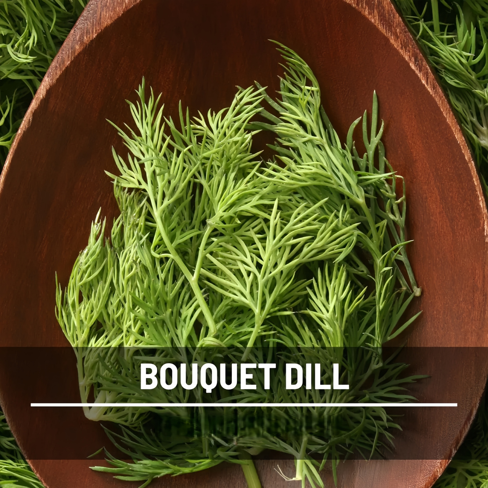 Bouquet Dill Seeds – Heirloom Culinary Herb, Non-GMO, Classic Pickling Variety (100 Seeds) 