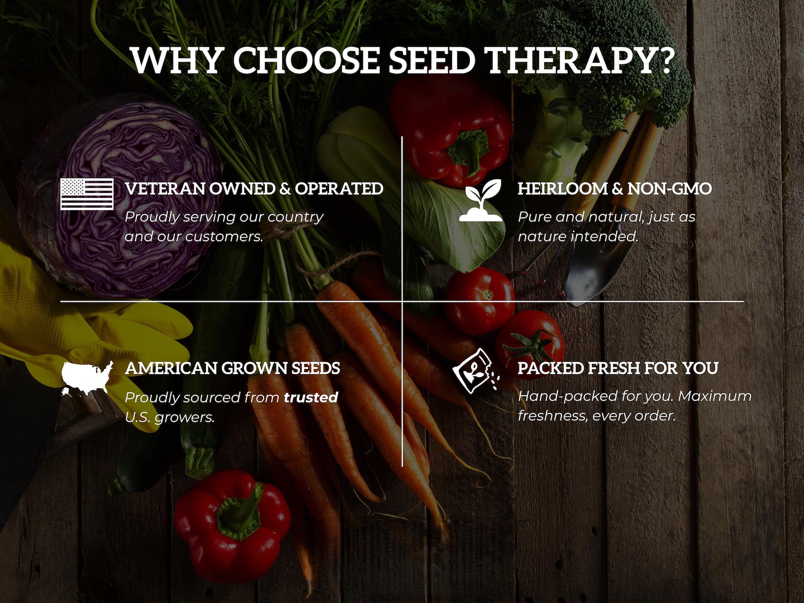 Small Sugar Pumpkin Seeds - Heirloom, Compact & Sweet, Non-GMO (15 Seeds) 