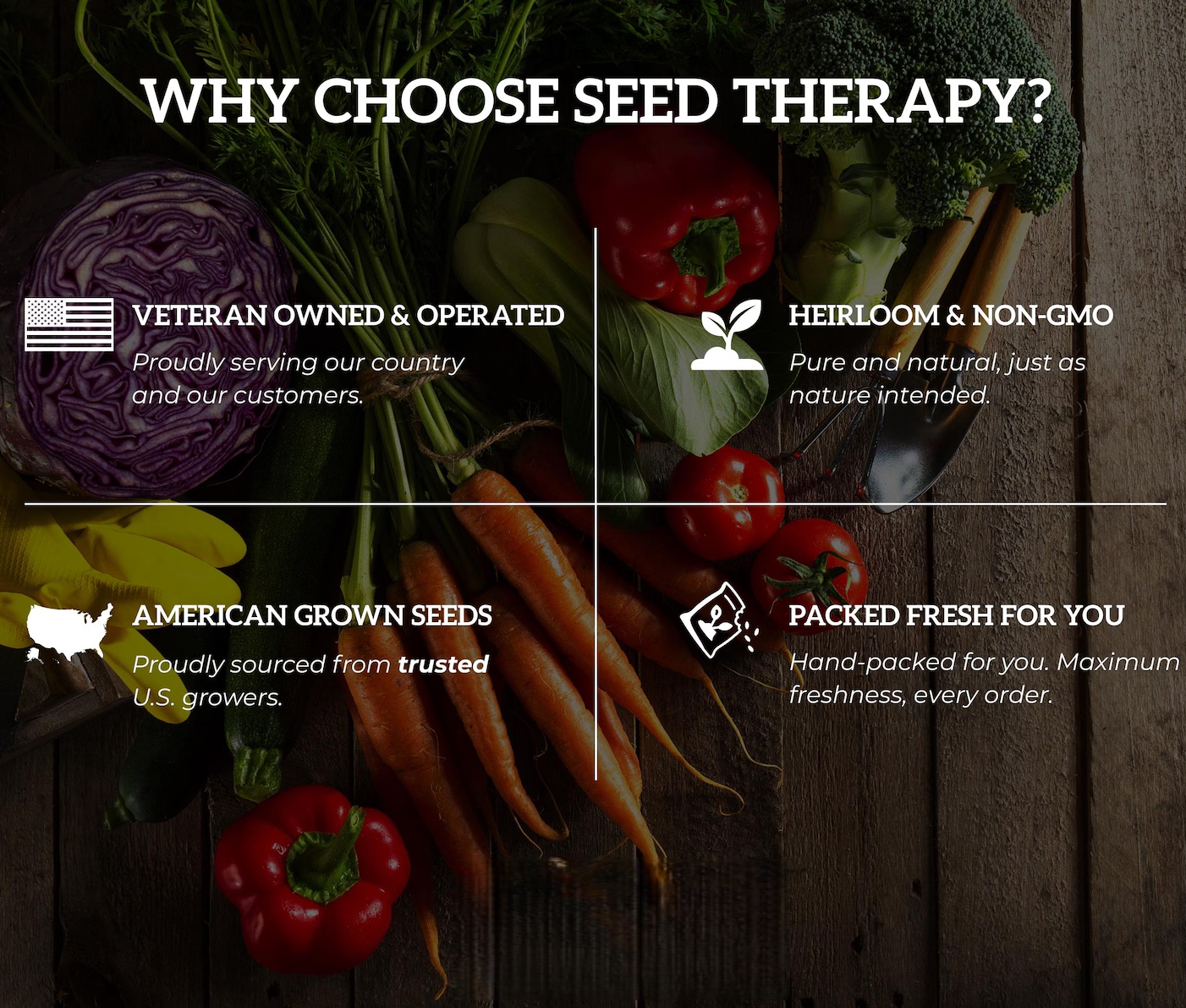  Ruby Queen Beet Heirloom Non-GMO Seeds 