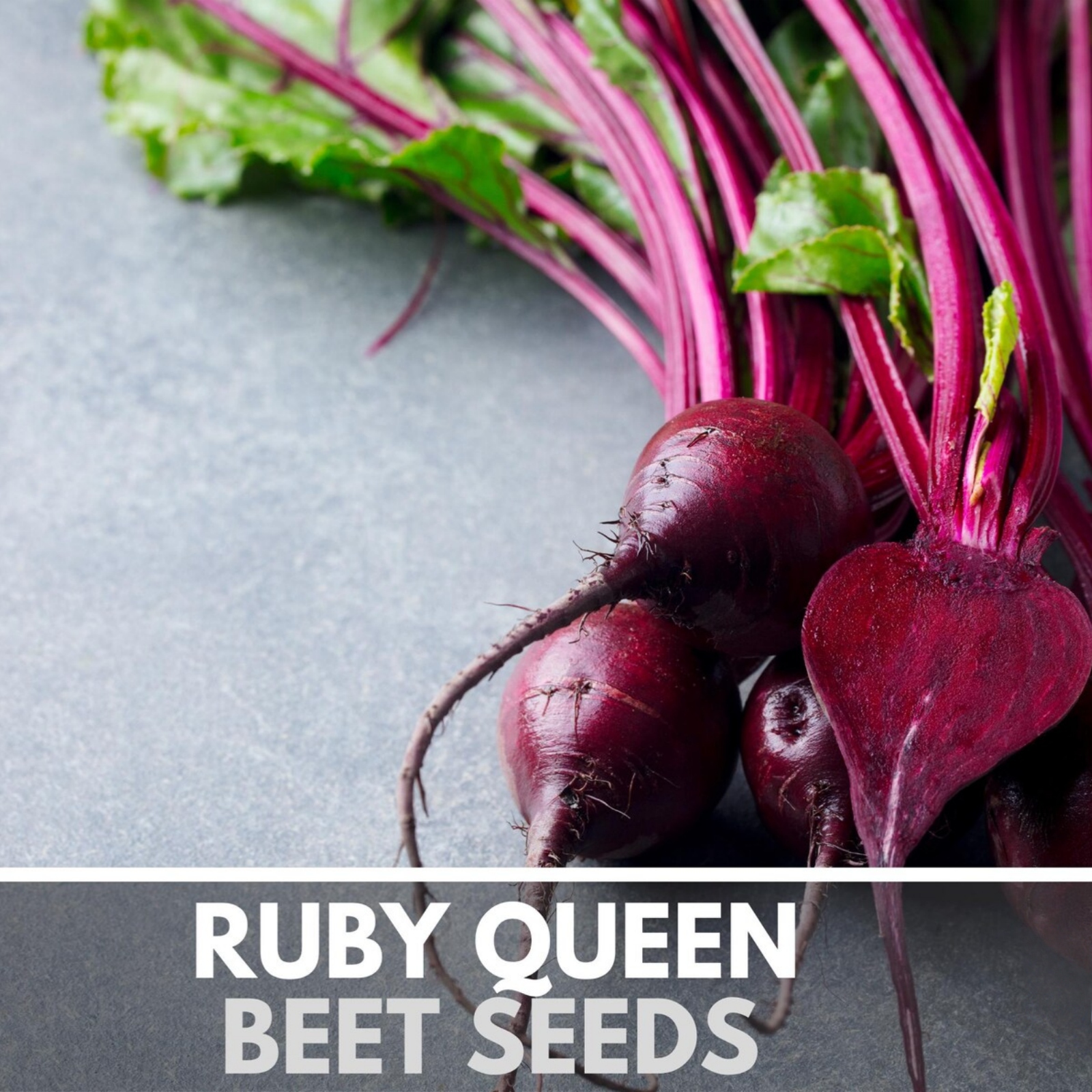  Ruby Queen Beet Heirloom Non-GMO Seeds 