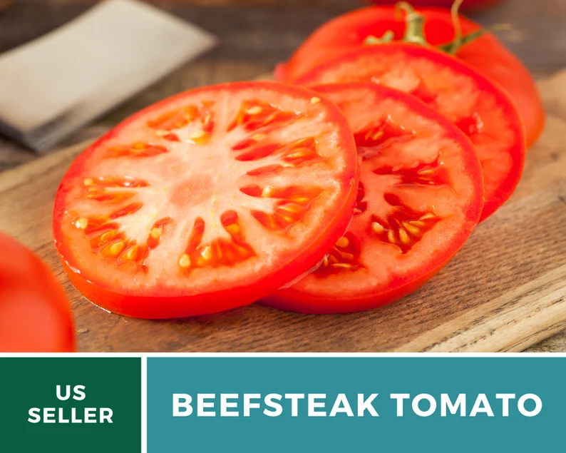 Beefsteak Tomato Seeds – Heirloom, Indeterminate, Large Meaty Slicer (50 Seeds) 