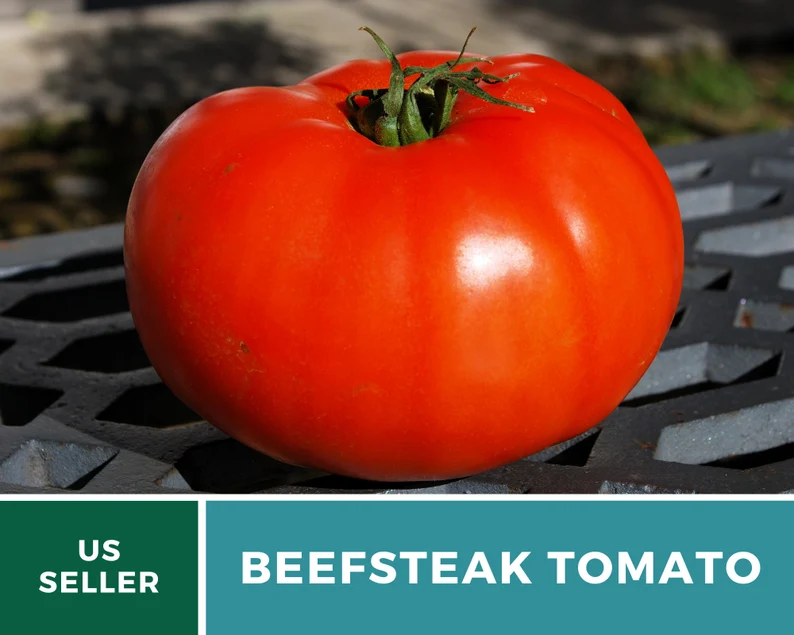 Beefsteak Tomato Seeds – Heirloom, Indeterminate, Large Meaty Slicer (50 Seeds) 