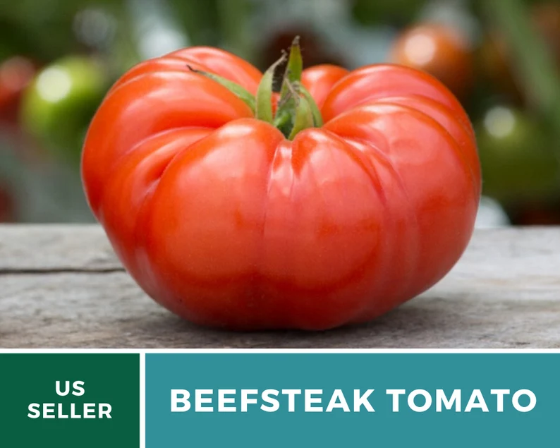 Beefsteak Tomato Seeds – Heirloom, Indeterminate, Large Meaty Slicer (50 Seeds) 