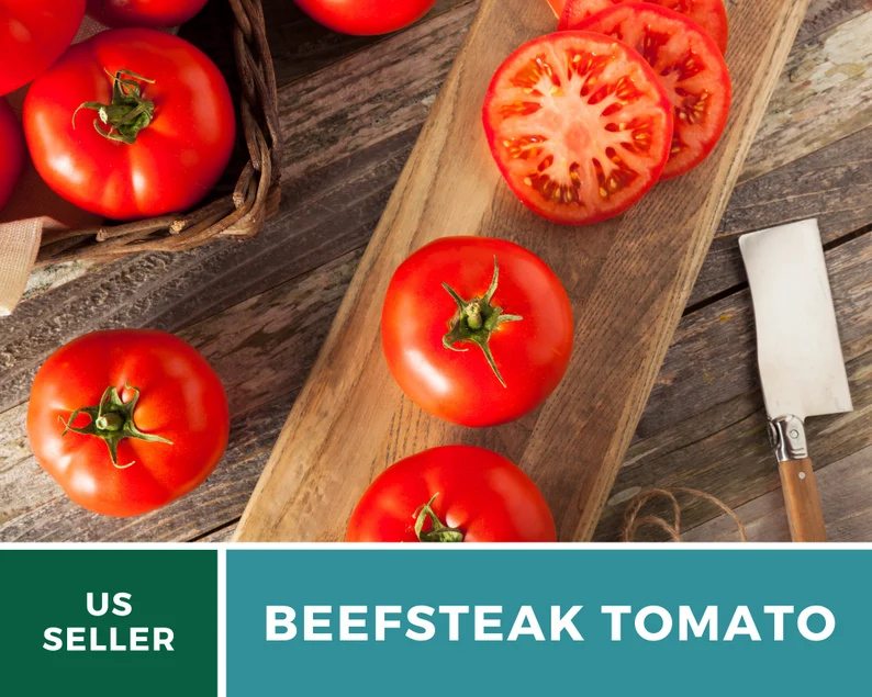 Beefsteak Tomato Seeds – Heirloom, Indeterminate, Large Meaty Slicer (50 Seeds) 