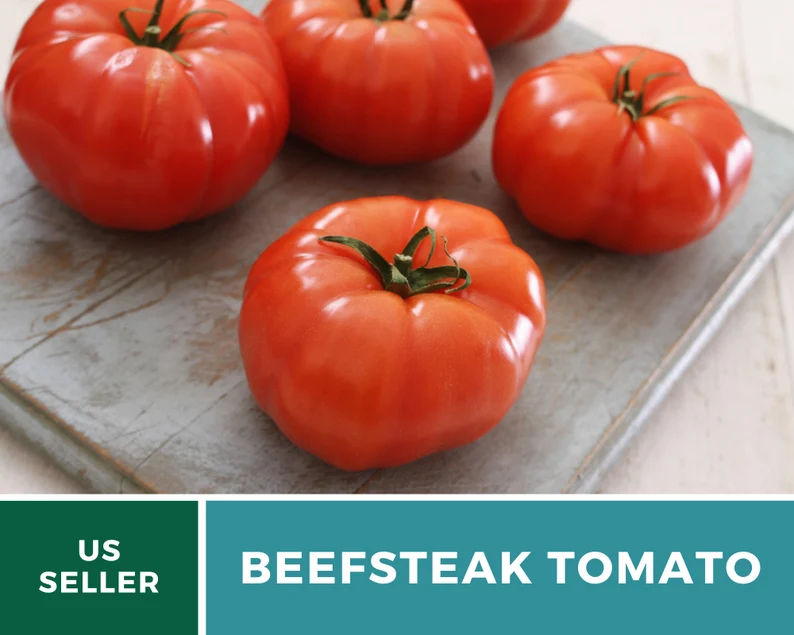 Beefsteak Tomato Seeds – Heirloom, Indeterminate, Large Meaty Slicer (50 Seeds) 