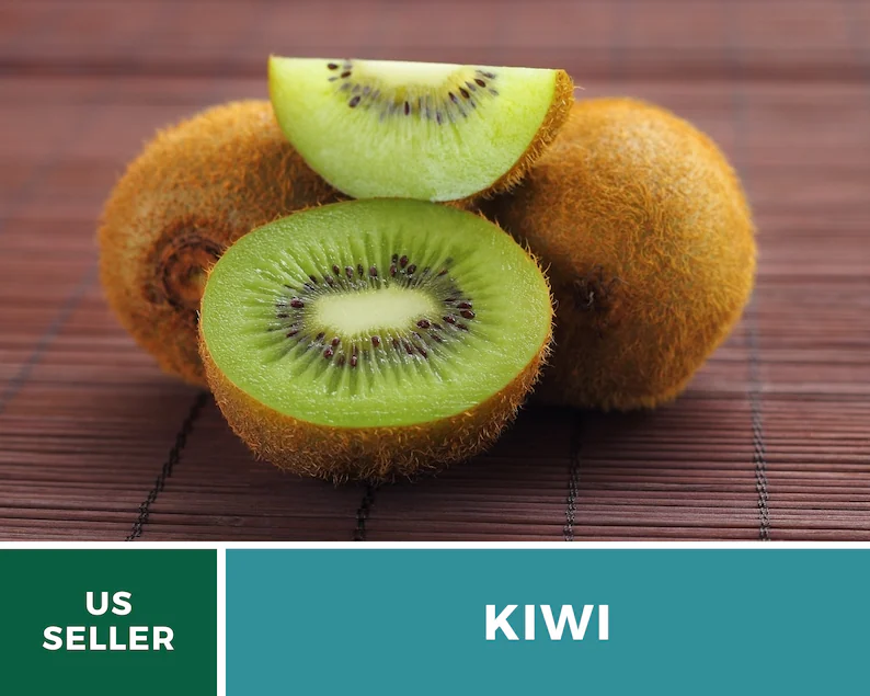 Kiwi Seeds (Chinese Gooseberry) – Heirloom Fruit, Exotic and Sweet, Easy to Grow, Unique Garden Vine | 100 Seeds 