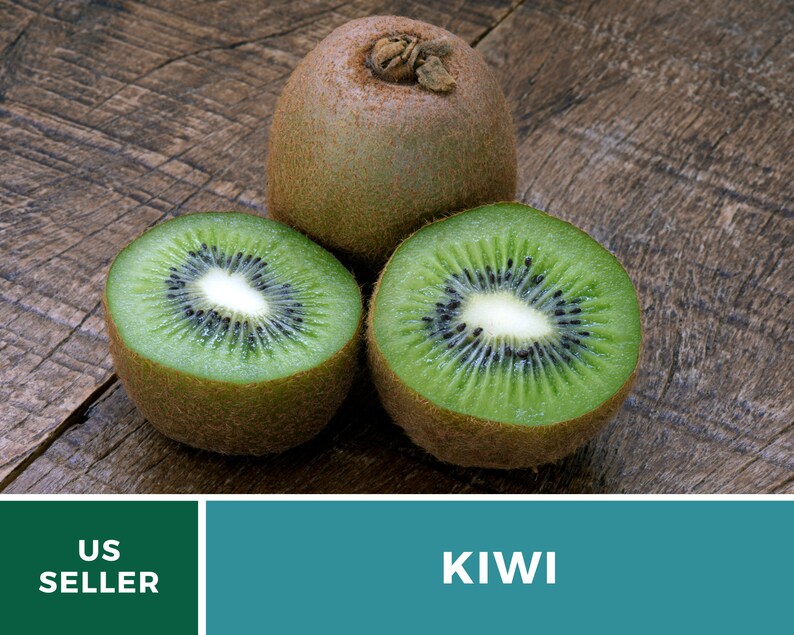 Kiwi Seeds (Chinese Gooseberry) – Heirloom Fruit, Exotic and Sweet, Easy to Grow, Unique Garden Vine | 100 Seeds 