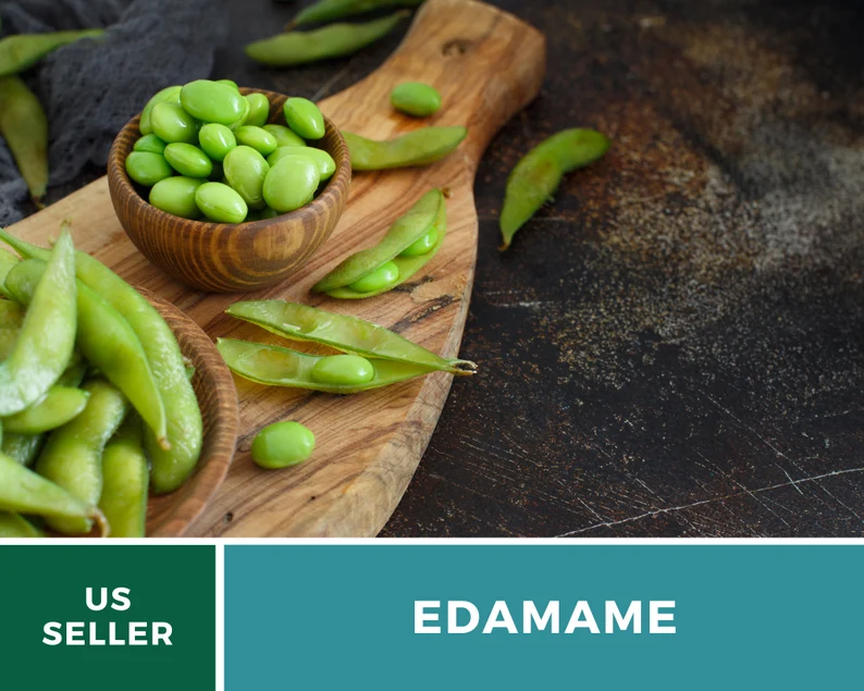 Be Sweet Edamame (Soybean) Seeds – Heirloom, Open Pollinated, Non-GMO (20 Seeds) 