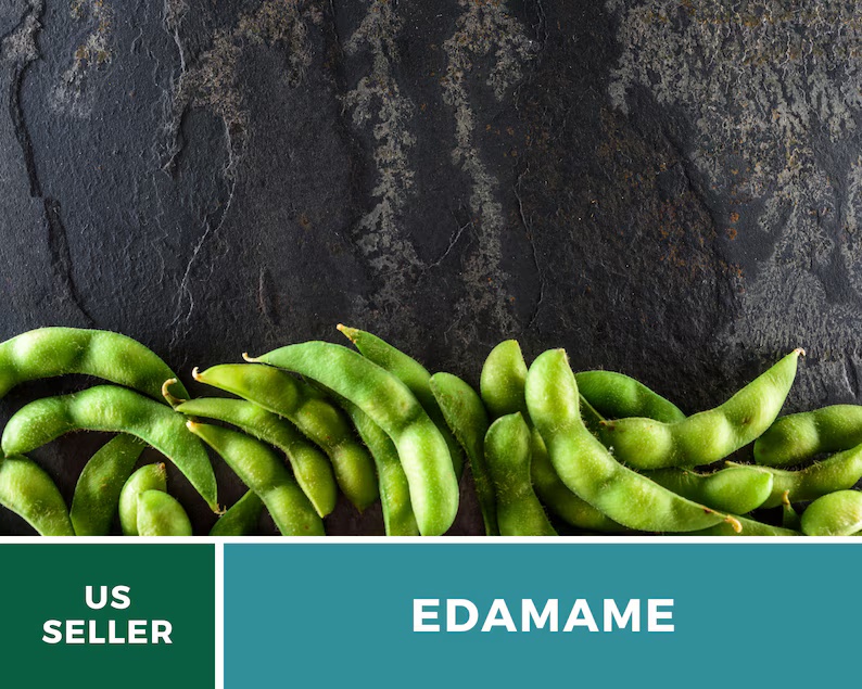 Be Sweet Edamame (Soybean) Seeds – Heirloom, Open Pollinated, Non-GMO (20 Seeds) 