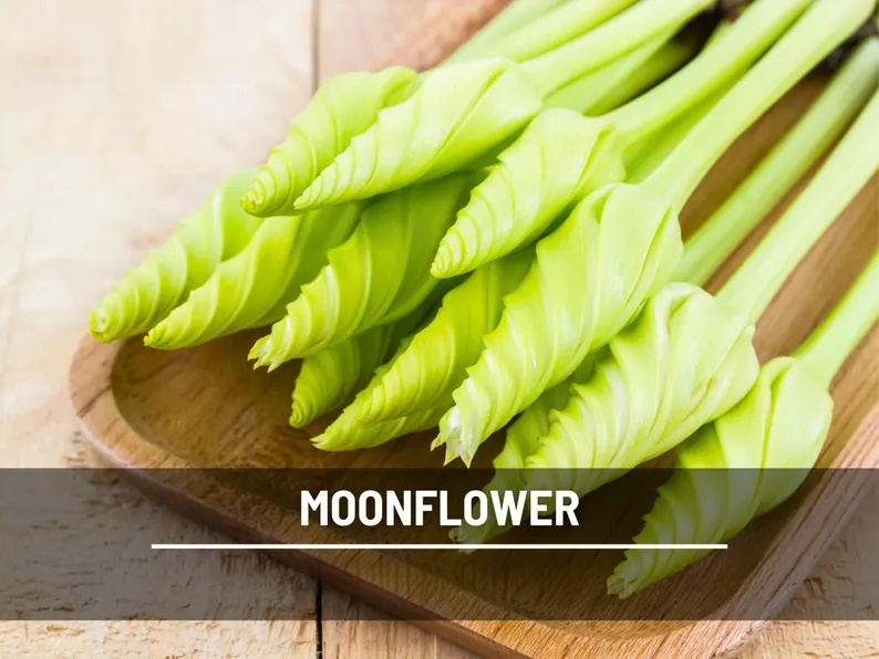 Moonflower Seeds – Heirloom Night Blooming Vine, Fragrant White Flowers for Trellis, Fast Growing, Easy, Attracts Pollinators | 25 Seeds 