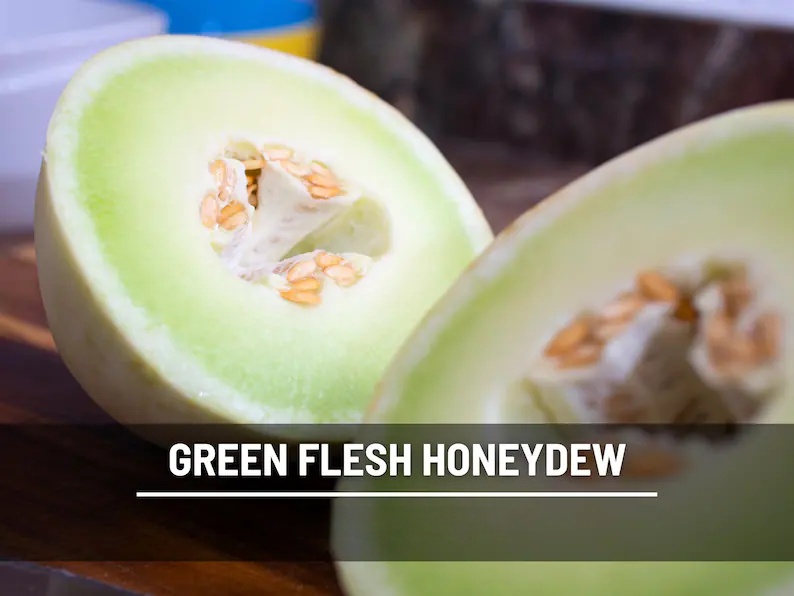 Green Flesh Honeydew Melon Seeds – Heirloom Fruit, Non-GMO, Sweet and Juicy Melon for Summer Gardens | 20 Seeds 