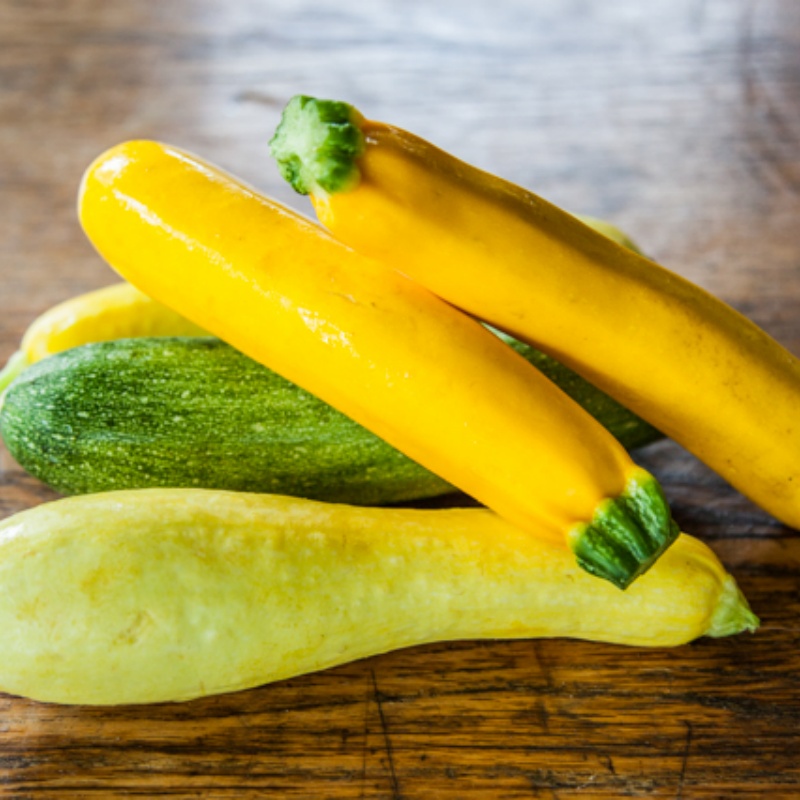 Black Beauty Zucchini Seeds – Summer Squash Variety