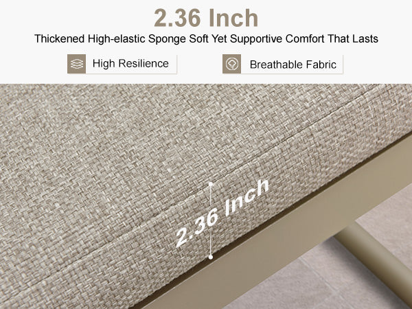 Premium Thickened Cushion