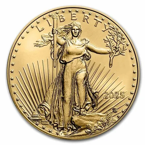 🔥 LAST DAY SPECIAL SALE 50% OFF 🔥 American Eagle 2025 Silver - Gold Silver Proof Coin