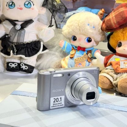 Sony Cyber-shot DSC-W810 Digital Camera - Tested