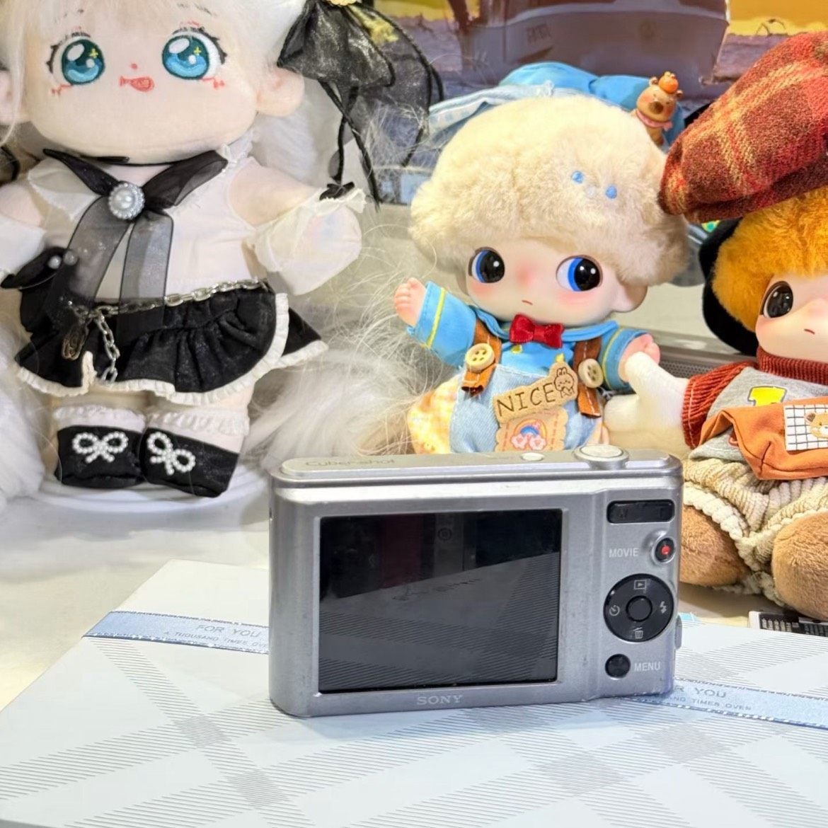 Sony Cyber-shot DSC-W810 Digital Camera - Tested