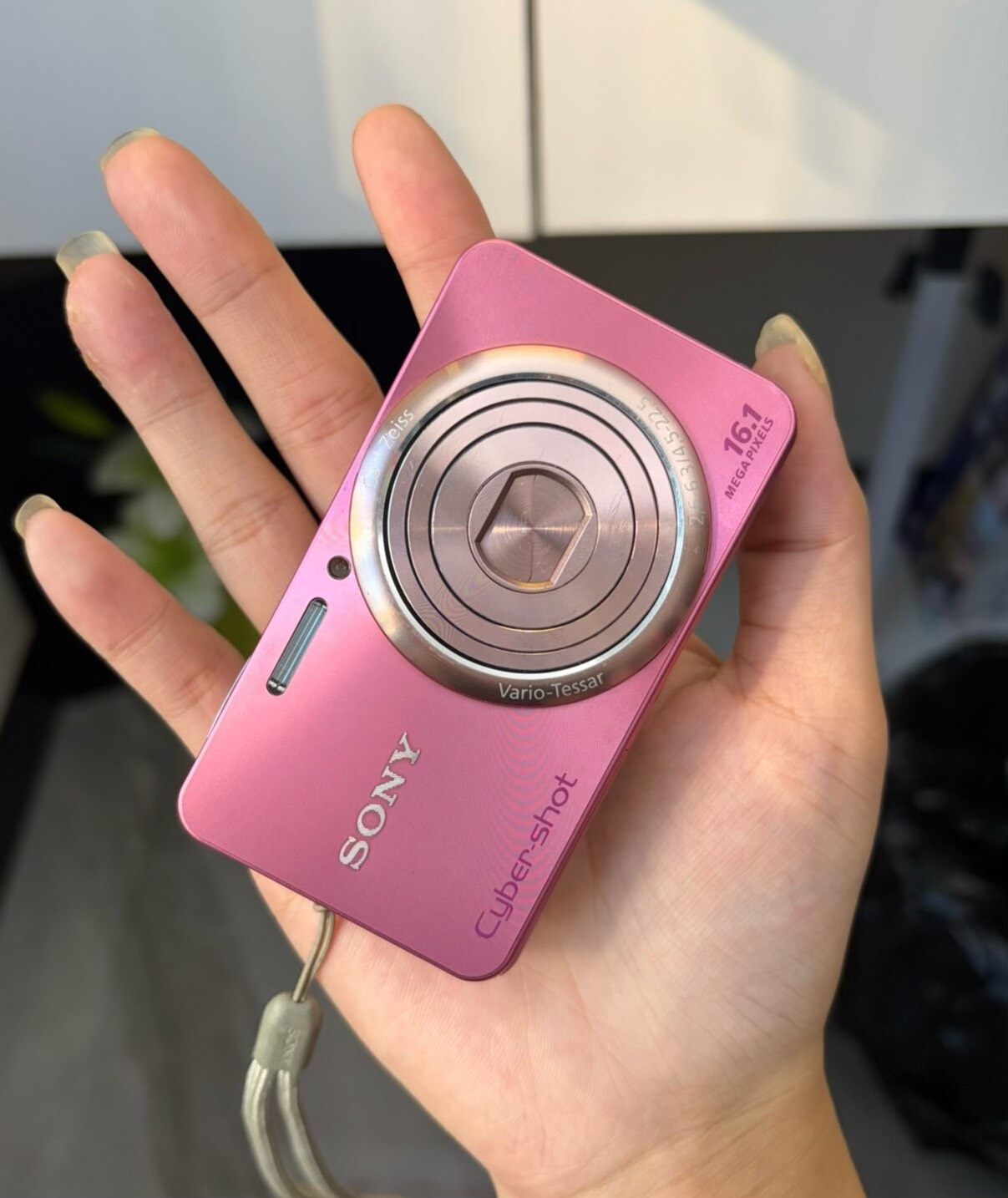 SONY Cyber-shot DSC-W570 Digital Camera 16.1 MP 5x Optical Zoom