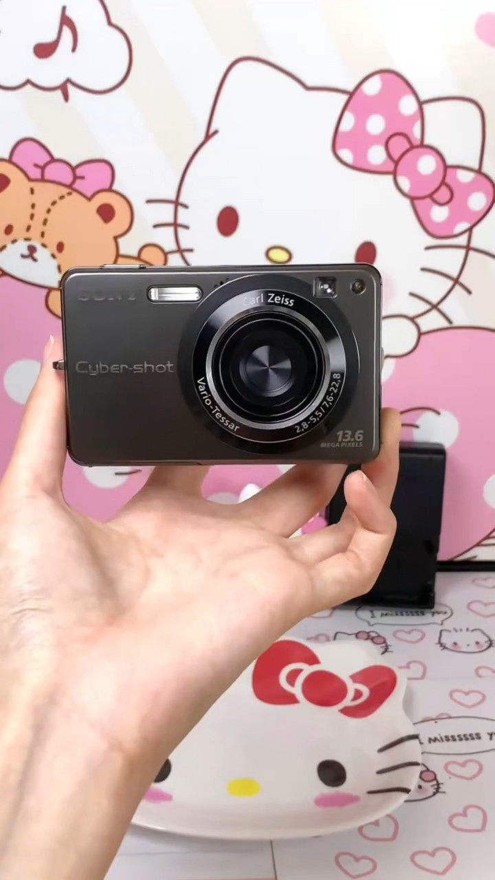 Sony Cyber-shot DSC-W300 13.6MP Digital Camera - Gray