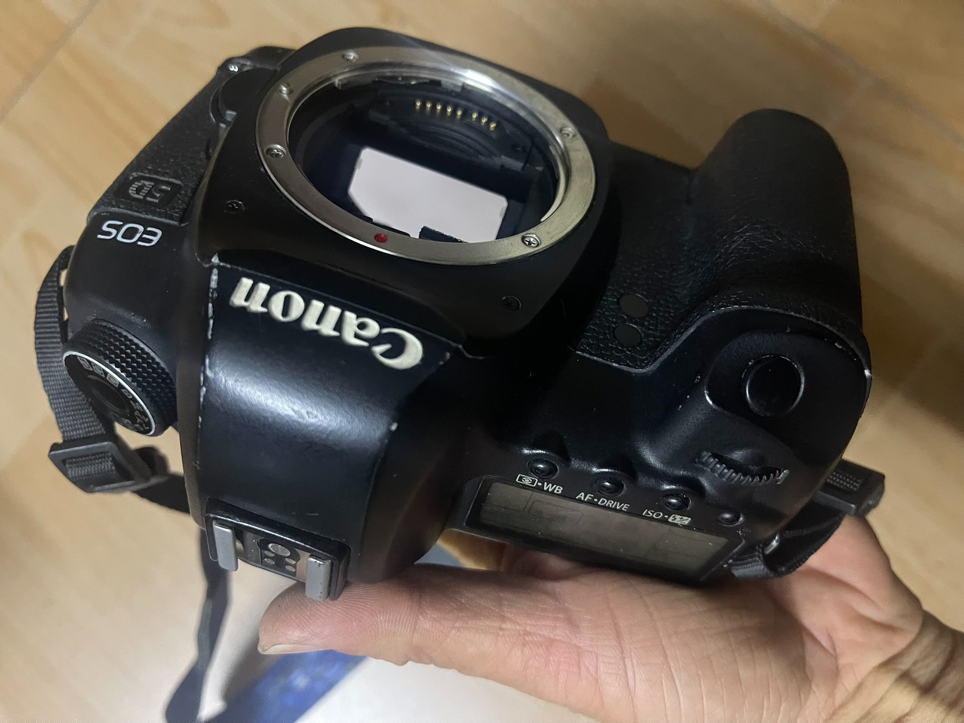 Canon EOS 5D Mark II 21.1 MP Digital SLR Camera Body  with Battery & Charger CF card