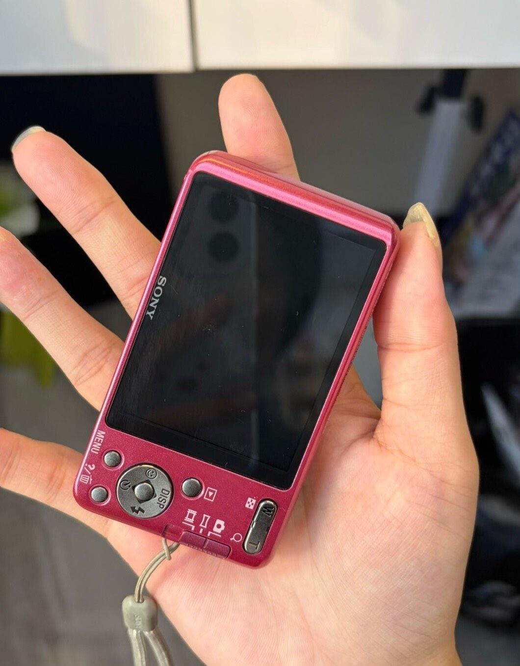 SONY Cyber-shot DSC-W570 Digital Camera 16.1 MP 5x Optical Zoom