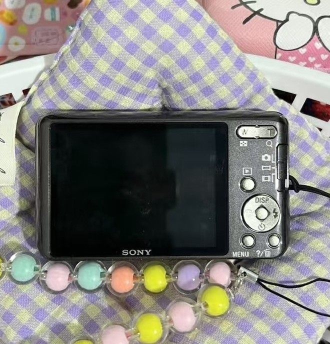 SONY Cyber-shot DSC-W570 Digital Camera 16.1 MP 5x Optical Zoom