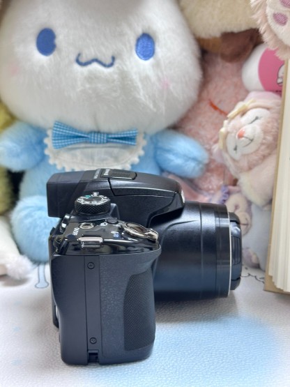 Nikon COOLPIX P500 Black 12.1 MP Digital Camera