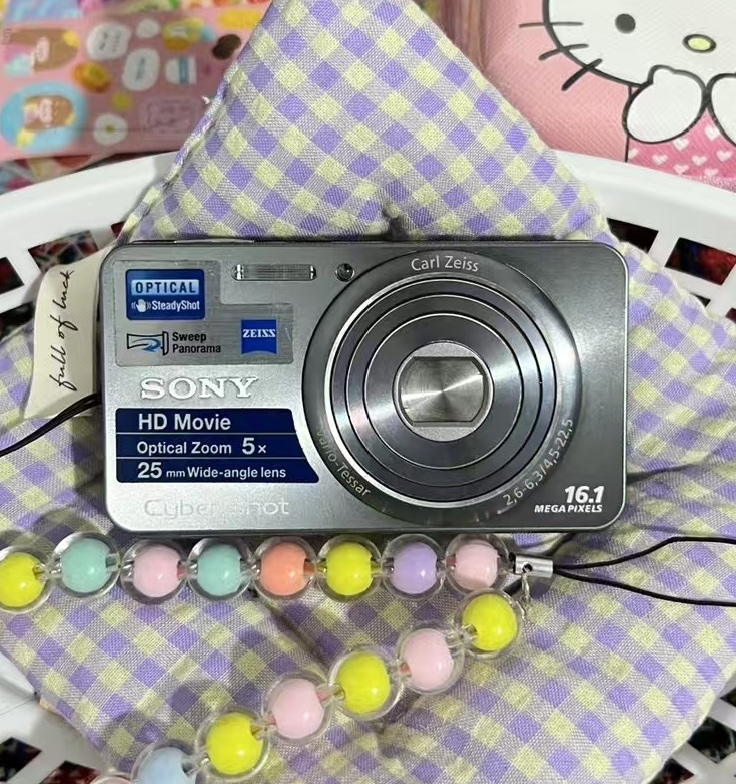 SONY Cyber-shot DSC-W570 Digital Camera 16.1 MP 5x Optical Zoom