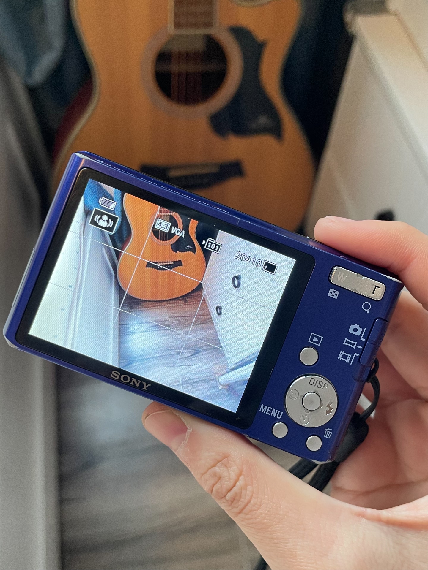 SONY Cyber-shot DSC-W530 Digital Camera 14.1 MP 4x Optical Zoom 