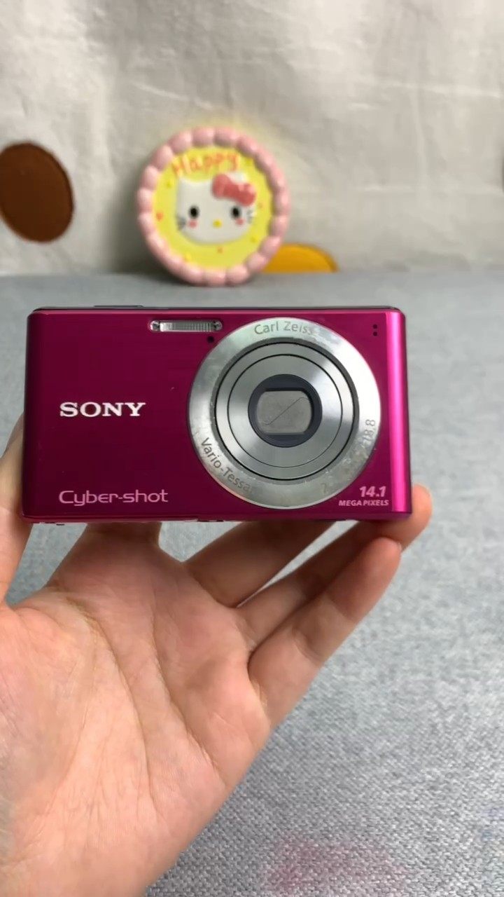 SONY Cyber-shot DSC-W530 Digital Camera 14.1 MP 4x Optical Zoom 