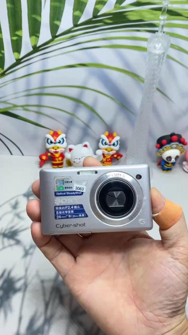 Sony DSC-W390 Digital Camera 14.1MP Maximum Resolution Vintage CCD