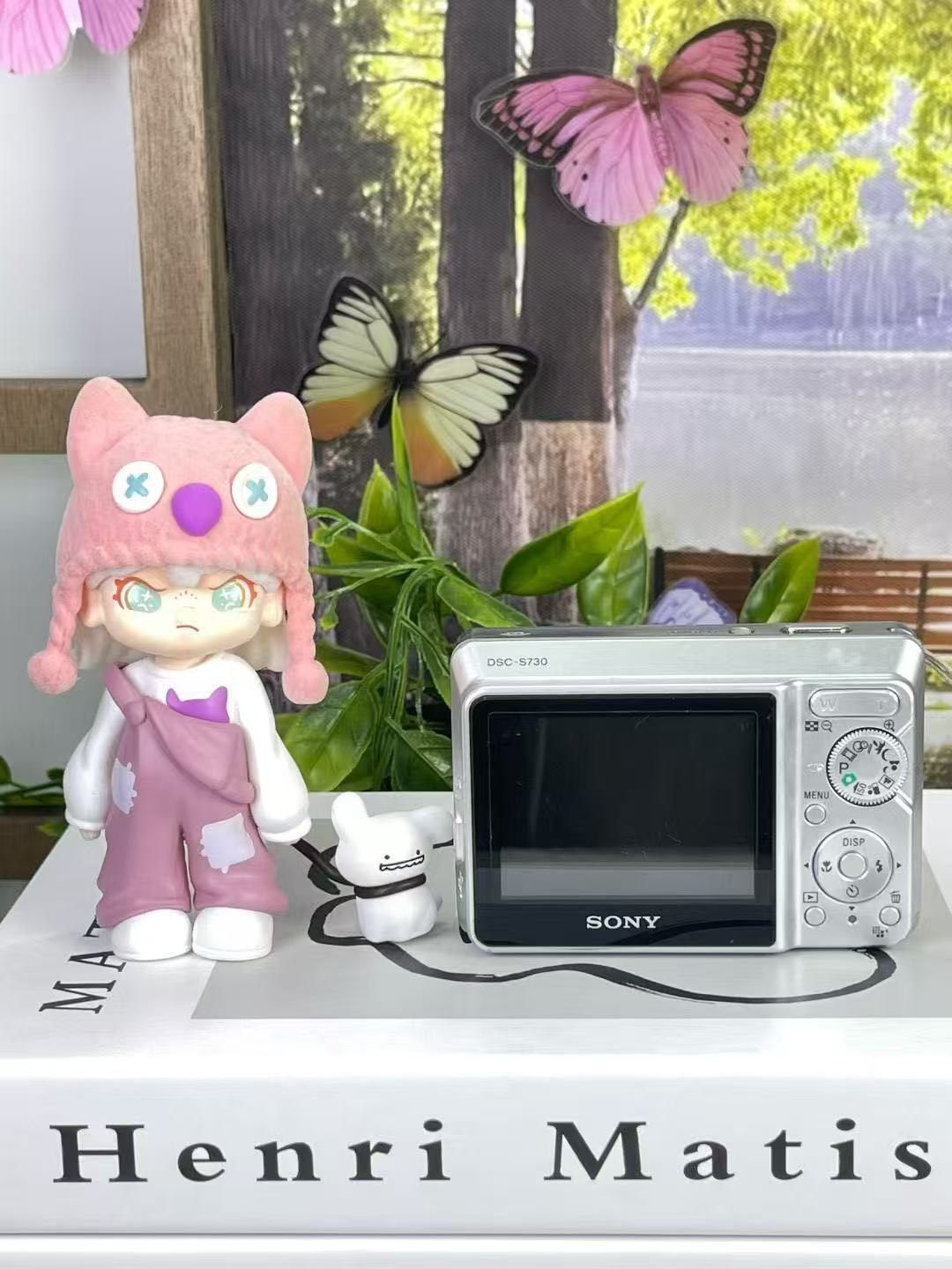 SONY Cyber-shot DSC-W730 Vintage Digital Camera 16.1MP 8x Optical Zoom