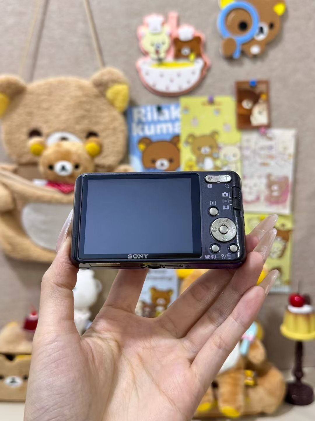 SONY Cyber-shot DSC-W570 Digital Camera 16.1 MP 5x Optical Zoom