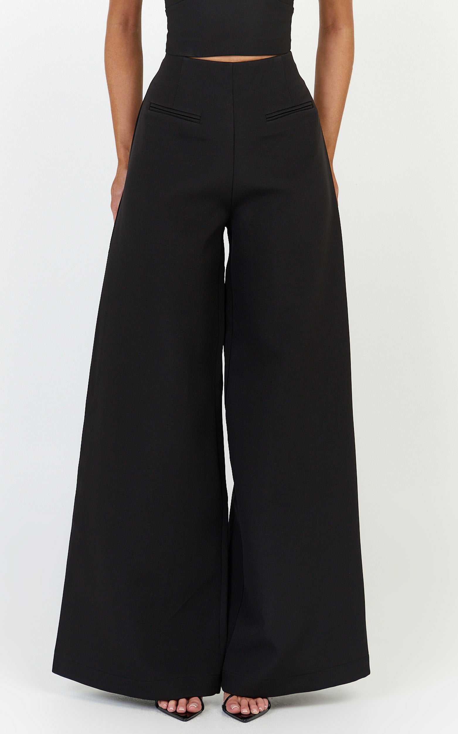 Lilo Pants - High Waisted Wide Leg Pants in Black - View 2