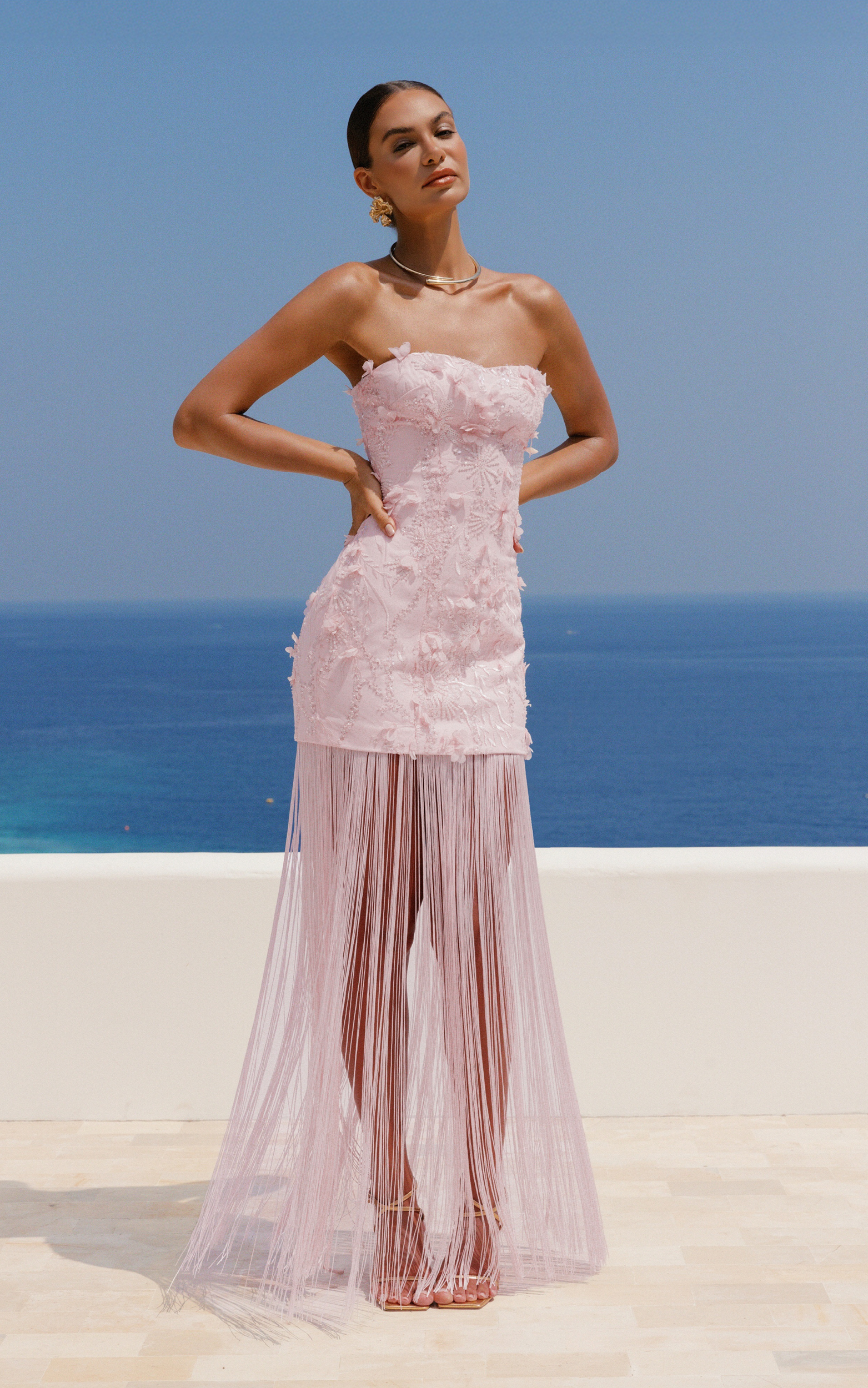 Ellie Maxi Dress - Embellished 3D Floral Bodice Drop Waist With Fringe Skirt in Pink - View 5