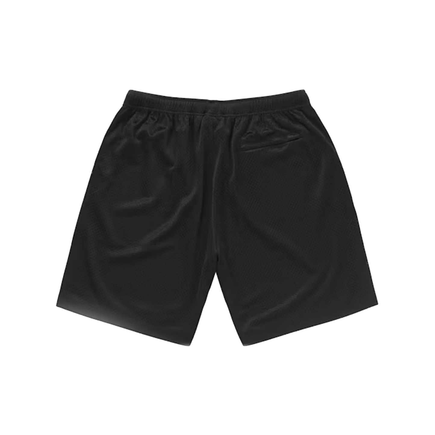 Sportive Dallas mesh shorts
